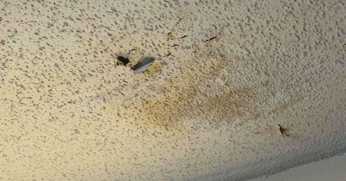 Drip To Disaster A Homeowner'S Guide To Roof Leak Repair
