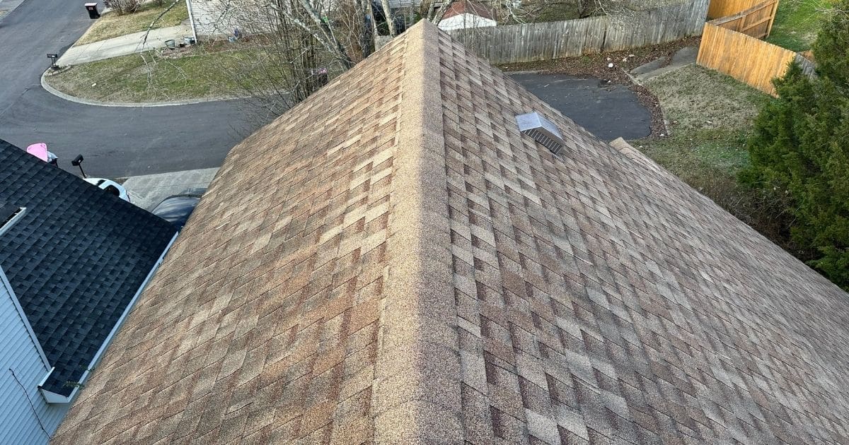 Early Signs of Shingle Damage - Bald Spots