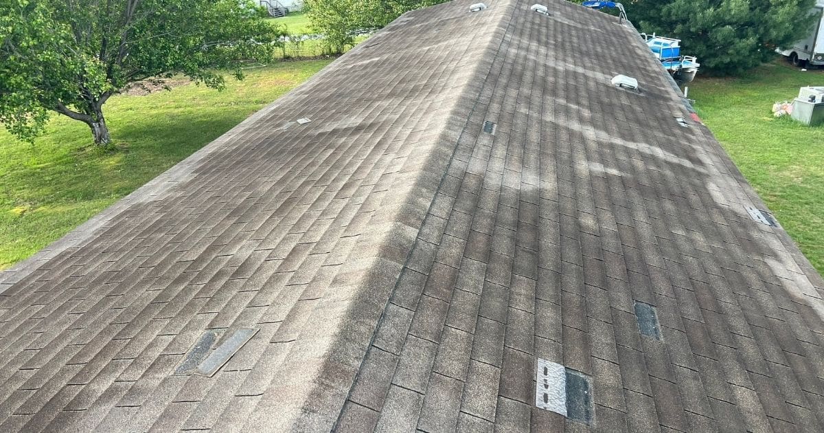Early Signs of Shingle Damage - Dark Streaks