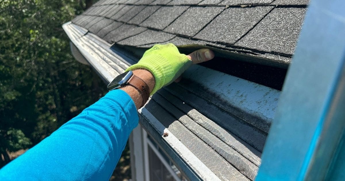 Guide to Roof Maintenance Myths